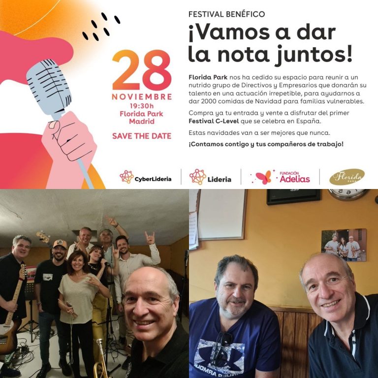Festival Solidario